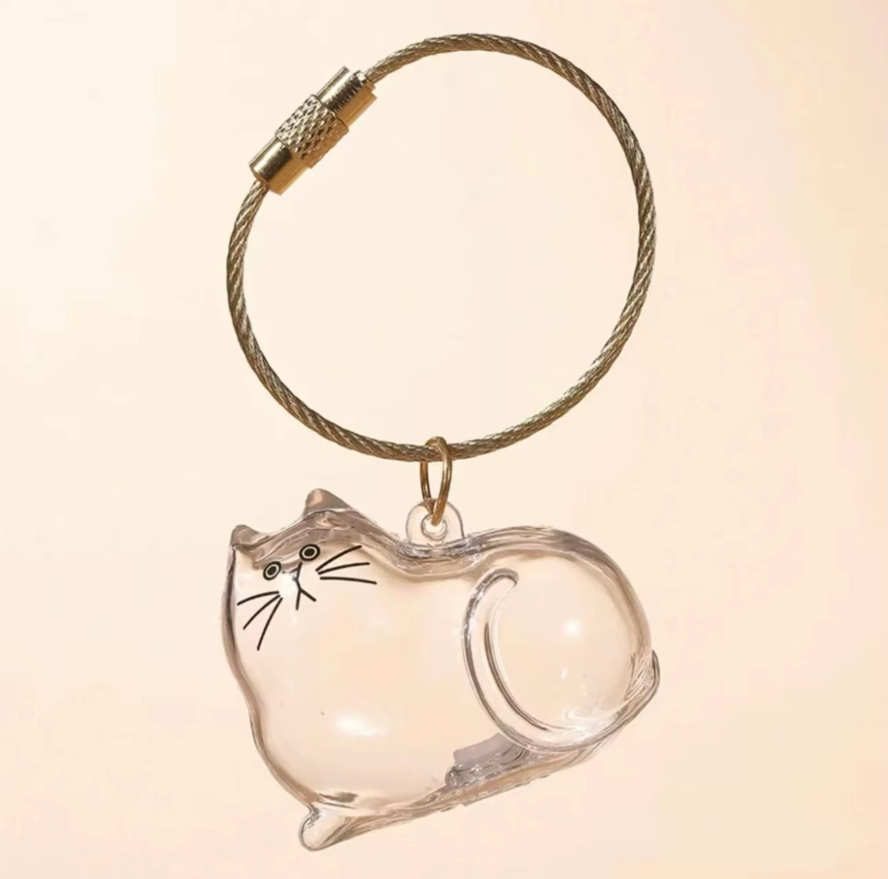 Charming Transparent Cat Hair Storage Keychain Pendant - Perfect Memorial Souvenir for Cat Lovers