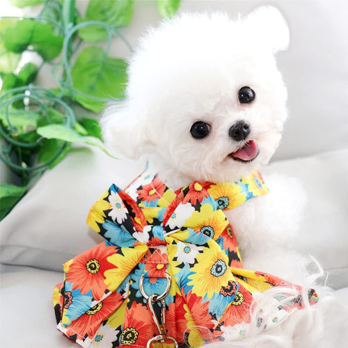 Adorable Colorful Alphabet Mesh Dress for Small to Medium Dogs - Perfect Birthday & Summer Tutu Outfit!