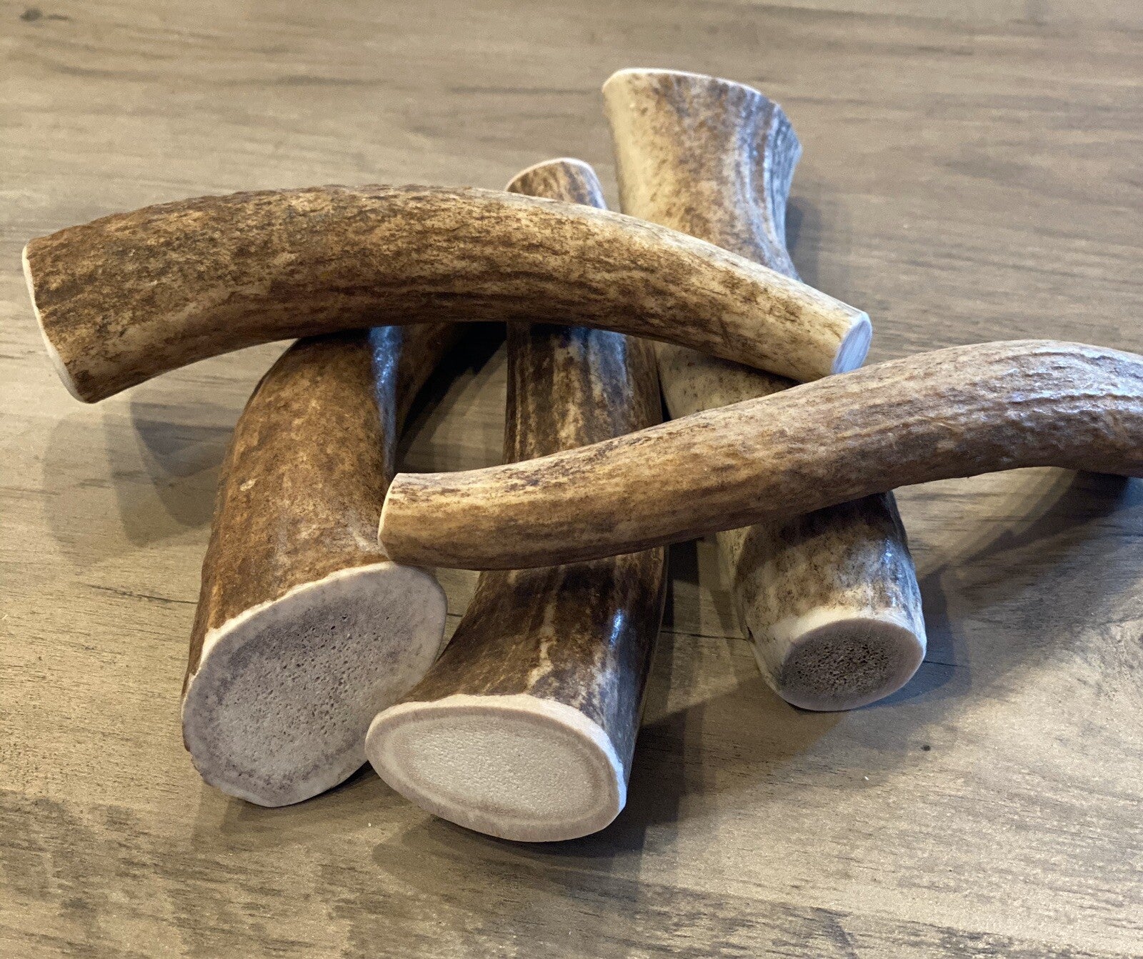 Premium Medium Elk/Deer Antler Dog Chew - Naturally Shed and Safe for Chewing (1 Piece) by Oregon Antler Works