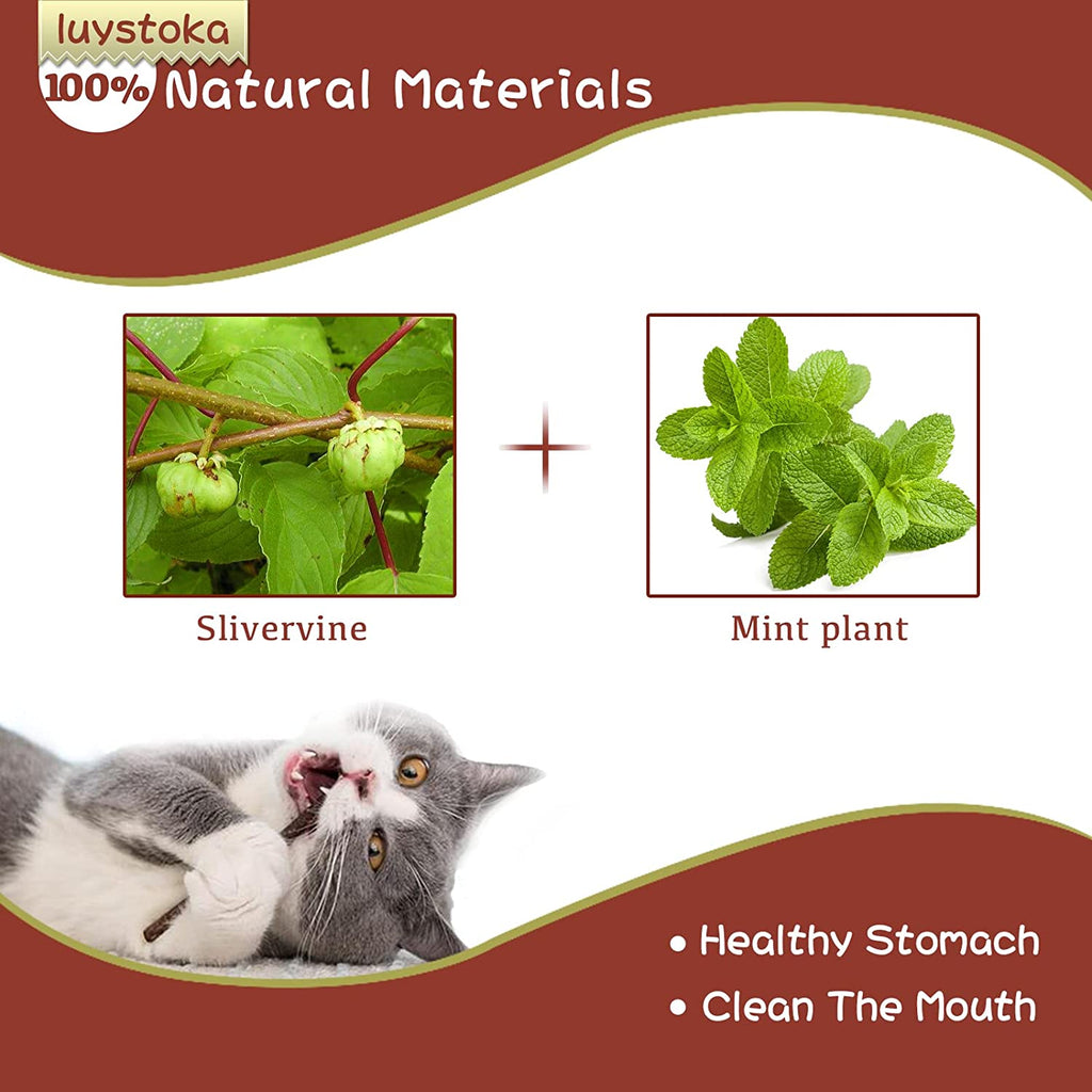 Exciting Silvervine Sticks for Cats - 10PCS of Natural Silvervine & Matatabi Catnip Chew Toys to Keep Your Kitty Active and Engaged