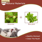 Exciting Silvervine Sticks for Cats - 10PCS of Natural Silvervine & Matatabi Catnip Chew Toys to Keep Your Kitty Active and Engaged