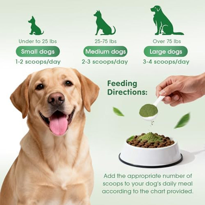 Revolutionary Dog & Cat Dental Powder - Natural Herbal Formula for Fresh Breath, Tartar & Plaque Reduction - No Brush Needed, Easy Pet Food Additive (2.75Oz)