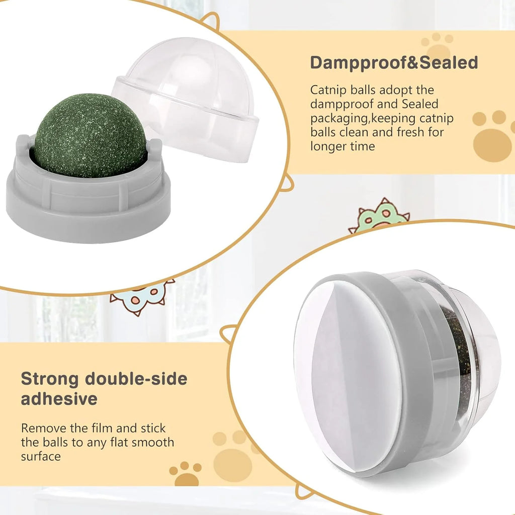 Exciting 3 Pack Catnip Balls - Edible Chew Toys for Cats, Safe Dental Treats for Kittens and Adult Cats, Interactive Wall Play!