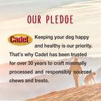 Irresistible Cadet Bully Stick Dog Chews - 5.2 Ounce Pack for Small Dogs