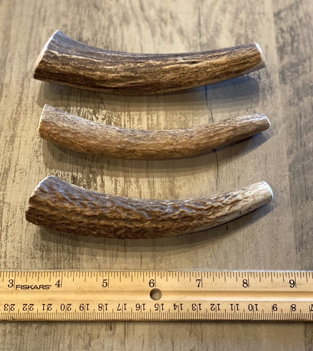 Premium Medium Elk/Deer Antler Dog Chew - Naturally Shed and Safe for Chewing (1 Piece) by Oregon Antler Works