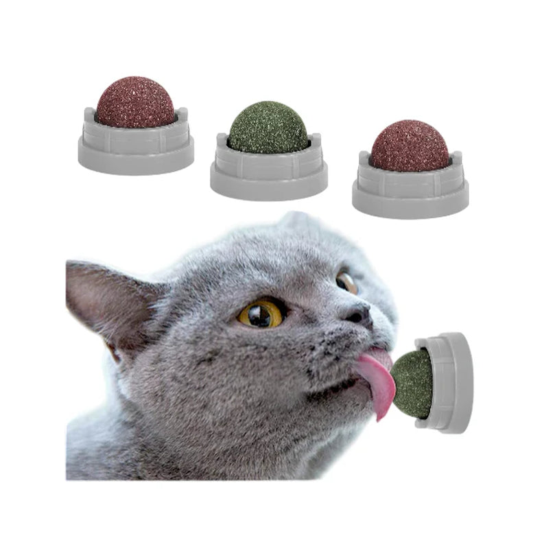 Exciting 3 Pack Catnip Balls - Edible Chew Toys for Cats, Safe Dental Treats for Kittens and Adult Cats, Interactive Wall Play!