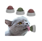 Exciting 3 Pack Catnip Balls - Edible Chew Toys for Cats, Safe Dental Treats for Kittens and Adult Cats, Interactive Wall Play!