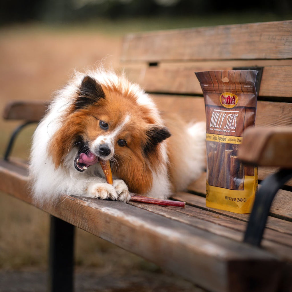 Irresistible Cadet Bully Stick Dog Chews - 5.2 Ounce Pack for Small Dogs
