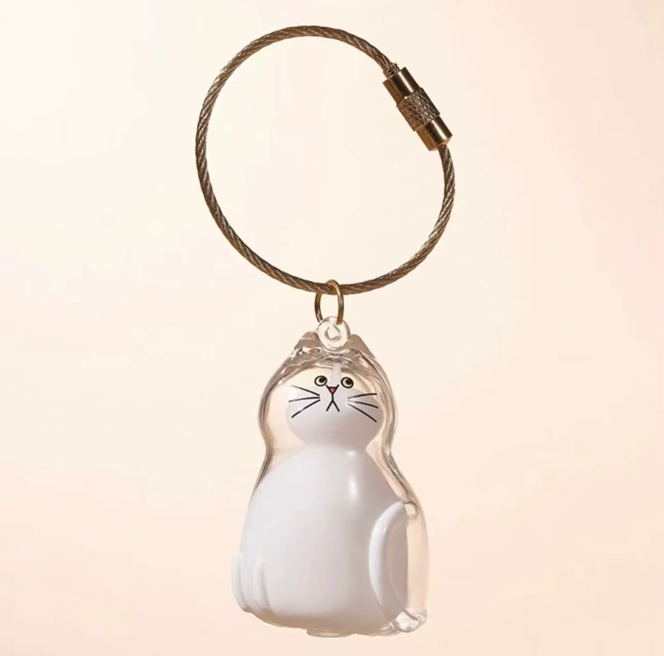 Charming Transparent Cat Hair Storage Keychain Pendant - Perfect Memorial Souvenir for Cat Lovers