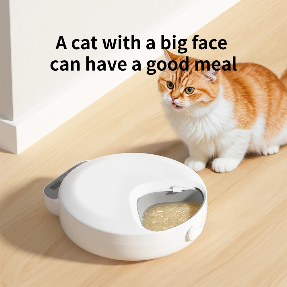 4 Meals Freshness Dry Wet Food Automatic Pet Feeder Cat Smart Feeding Dog Food Dispenser Button Timing Cat Dog Slow Feeding Bowl