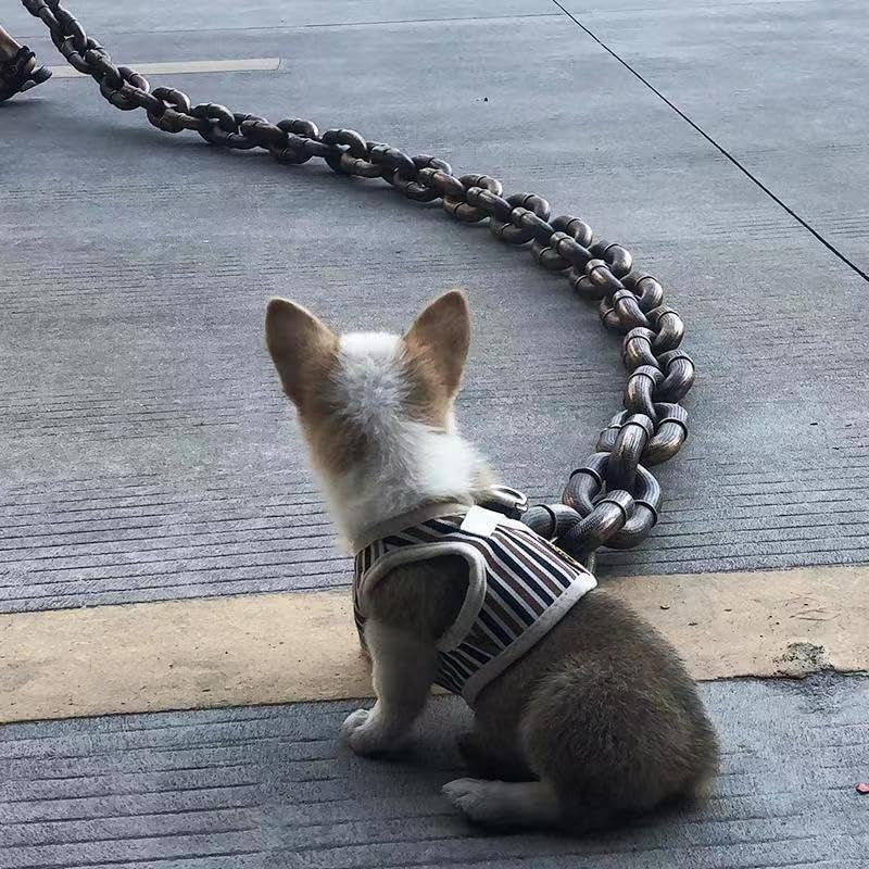 Funny Silvery Big Dog Chain Leash - Durable Plastic, 79" Long for Small Breeds like Chihuahua, Teddy Poodle, and Papillon