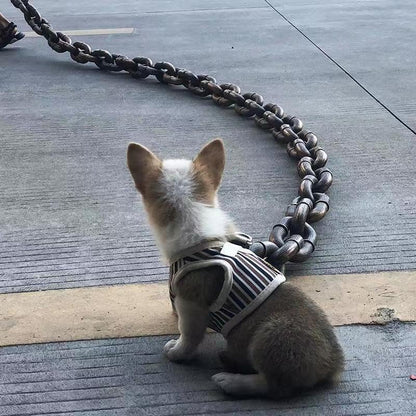 Funny Silvery Big Dog Chain Leash - Durable Plastic, 79" Long for Small Breeds like Chihuahua, Teddy Poodle, and Papillon