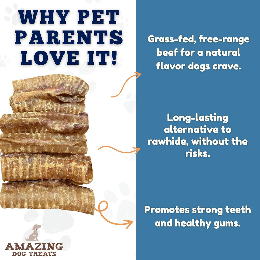 Indulge Your Pup with 6 Inch Beef Trachea Chews - 100 Count of Nutrient-Rich, Digestible Treats for Healthy Teeth and Joints!