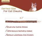 Exciting Silvervine Sticks for Cats - 10PCS of Natural Silvervine & Matatabi Catnip Chew Toys to Keep Your Kitty Active and Engaged