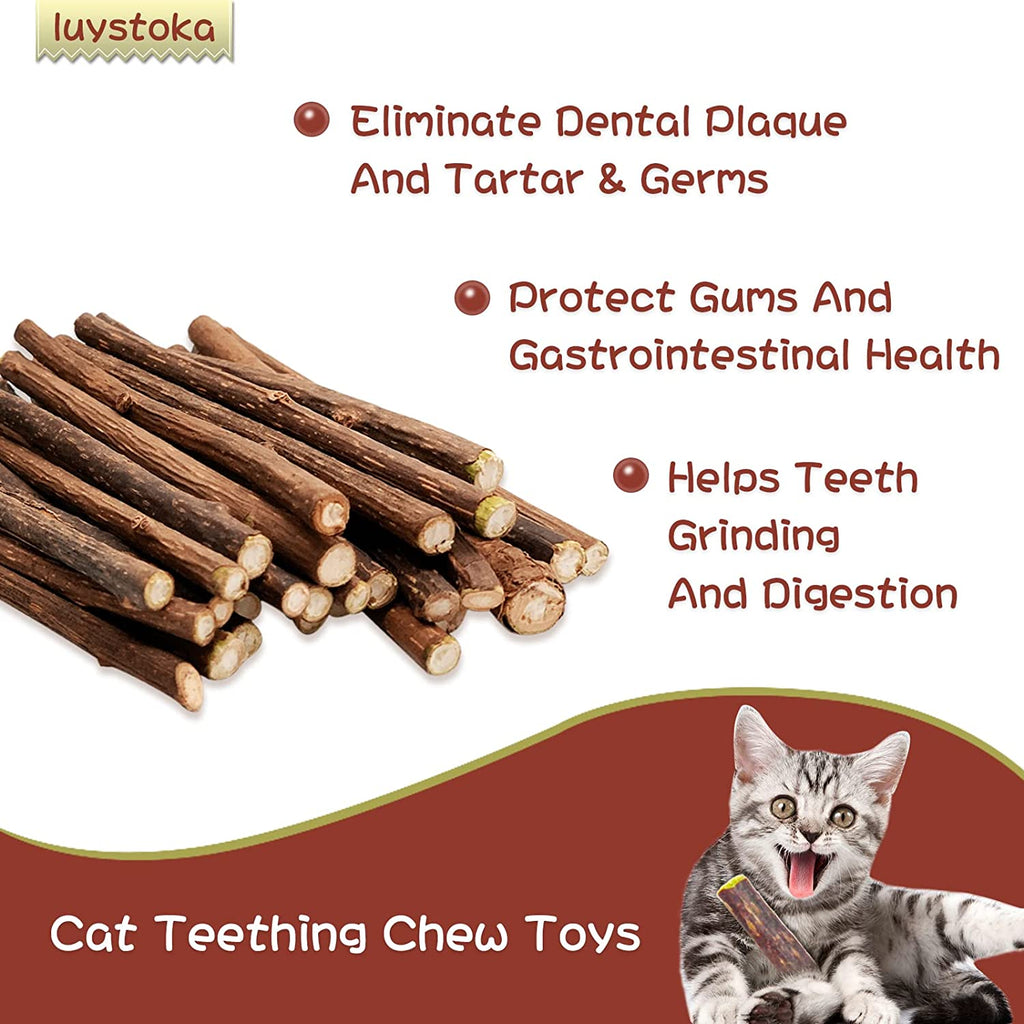 Exciting Silvervine Sticks for Cats - 10PCS of Natural Silvervine & Matatabi Catnip Chew Toys to Keep Your Kitty Active and Engaged