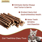 Exciting Silvervine Sticks for Cats - 10PCS of Natural Silvervine & Matatabi Catnip Chew Toys to Keep Your Kitty Active and Engaged