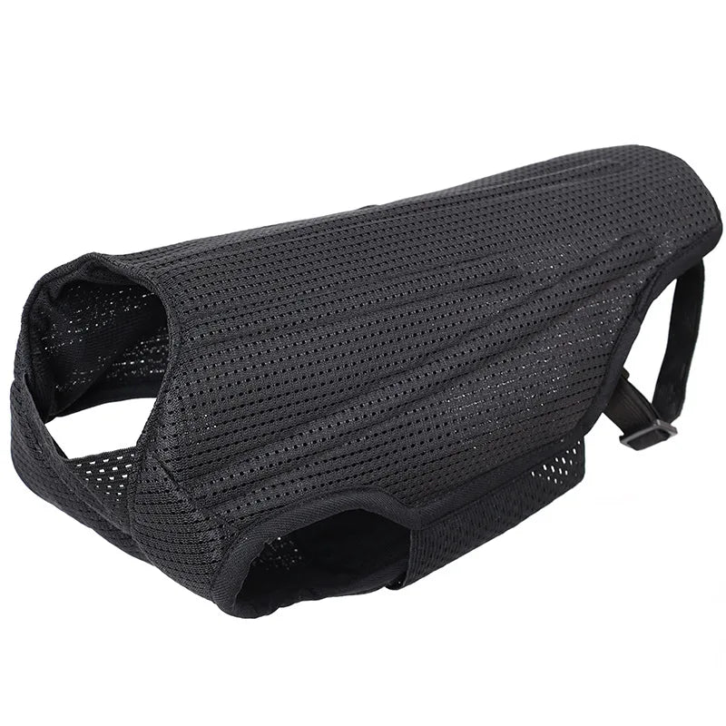 Pet Lumbar Spine Protective Clothing Relief Dog Back Pain Lumbar Disc Herniation Support Plate Wearable Back Support Dog Vest