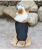 Pet Lumbar Spine Protective Clothing Relief Dog Back Pain Lumbar Disc Herniation Support Plate Wearable Back Support Dog Vest
