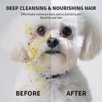 Revitalize Your Pet's Cleanliness with Our 6PCS Wash-Free Gloves - Perfect for Cats and Dogs!