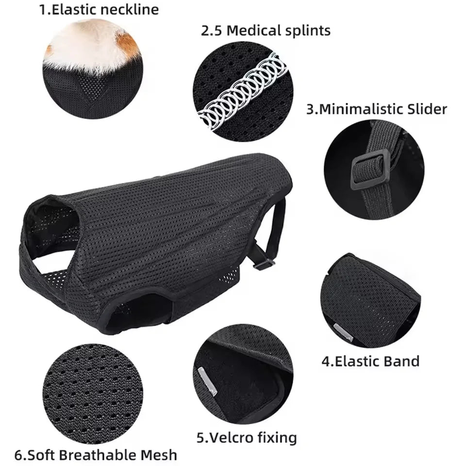 Pet Lumbar Spine Protective Clothing Relief Dog Back Pain Lumbar Disc Herniation Support Plate Wearable Back Support Dog Vest