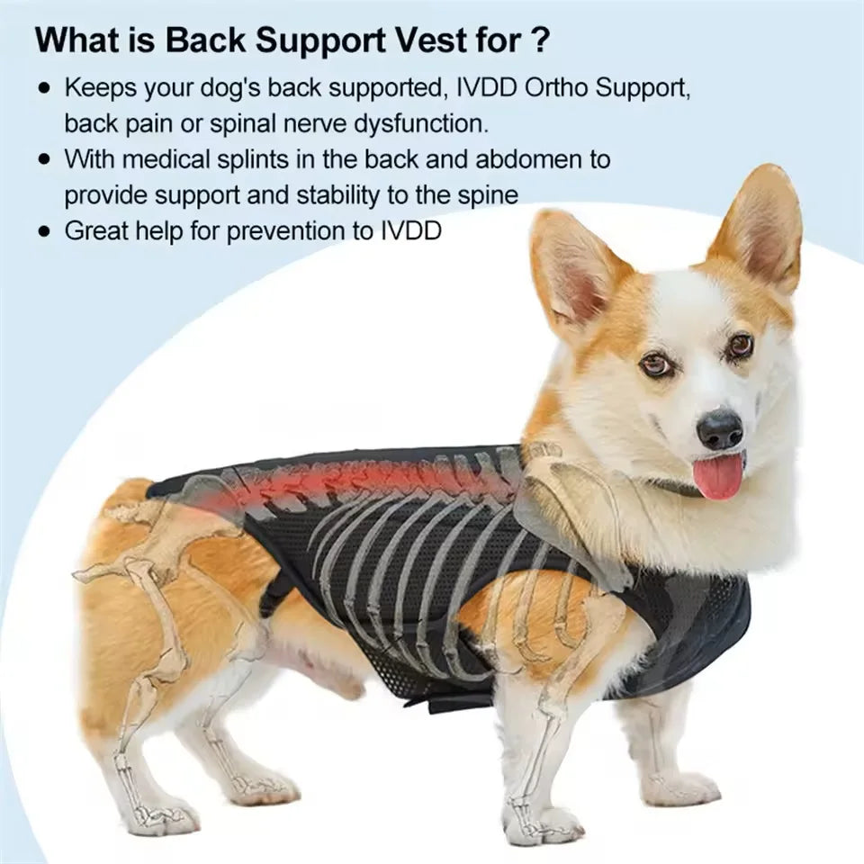 Pet Lumbar Spine Protective Clothing Relief Dog Back Pain Lumbar Disc Herniation Support Plate Wearable Back Support Dog Vest
