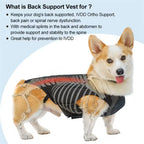 Pet Lumbar Spine Protective Clothing Relief Dog Back Pain Lumbar Disc Herniation Support Plate Wearable Back Support Dog Vest