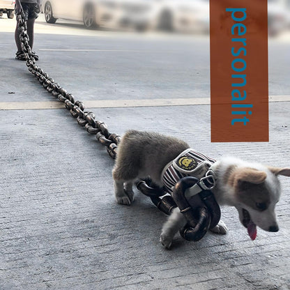 Funny Silvery Big Dog Chain Leash - Durable Plastic, 79" Long for Small Breeds like Chihuahua, Teddy Poodle, and Papillon