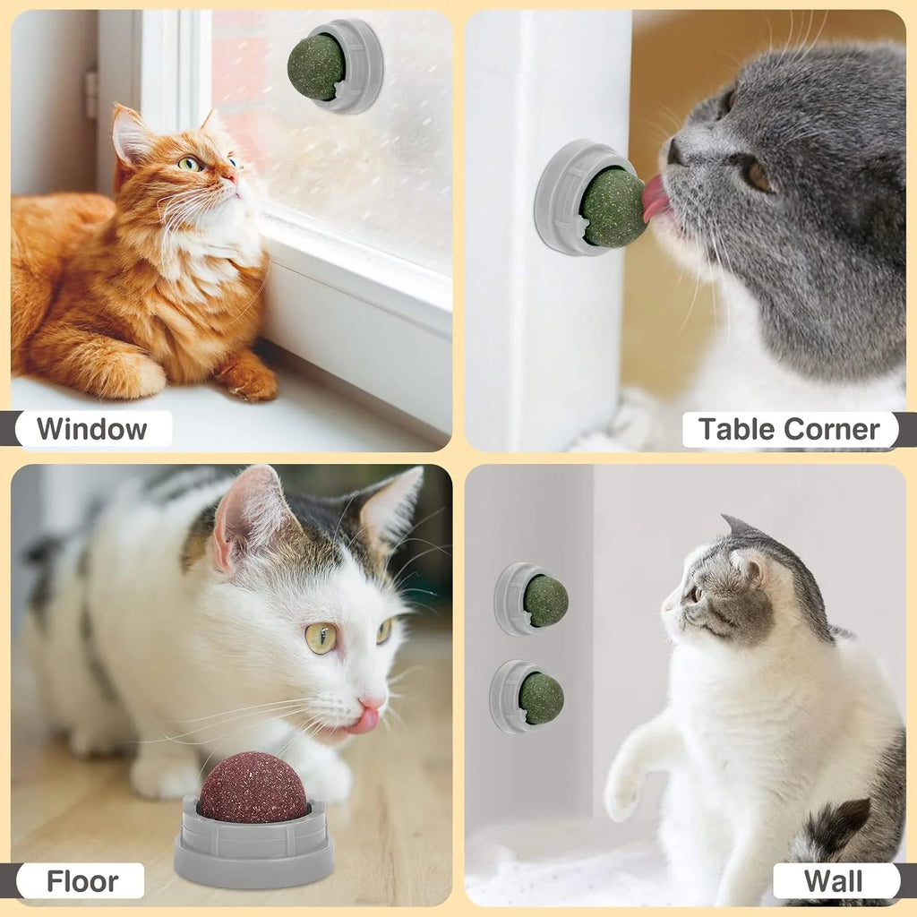 Exciting 3 Pack Catnip Balls - Edible Chew Toys for Cats, Safe Dental Treats for Kittens and Adult Cats, Interactive Wall Play!