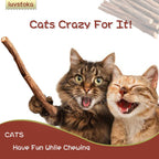 Exciting Silvervine Sticks for Cats - 10PCS of Natural Silvervine & Matatabi Catnip Chew Toys to Keep Your Kitty Active and Engaged