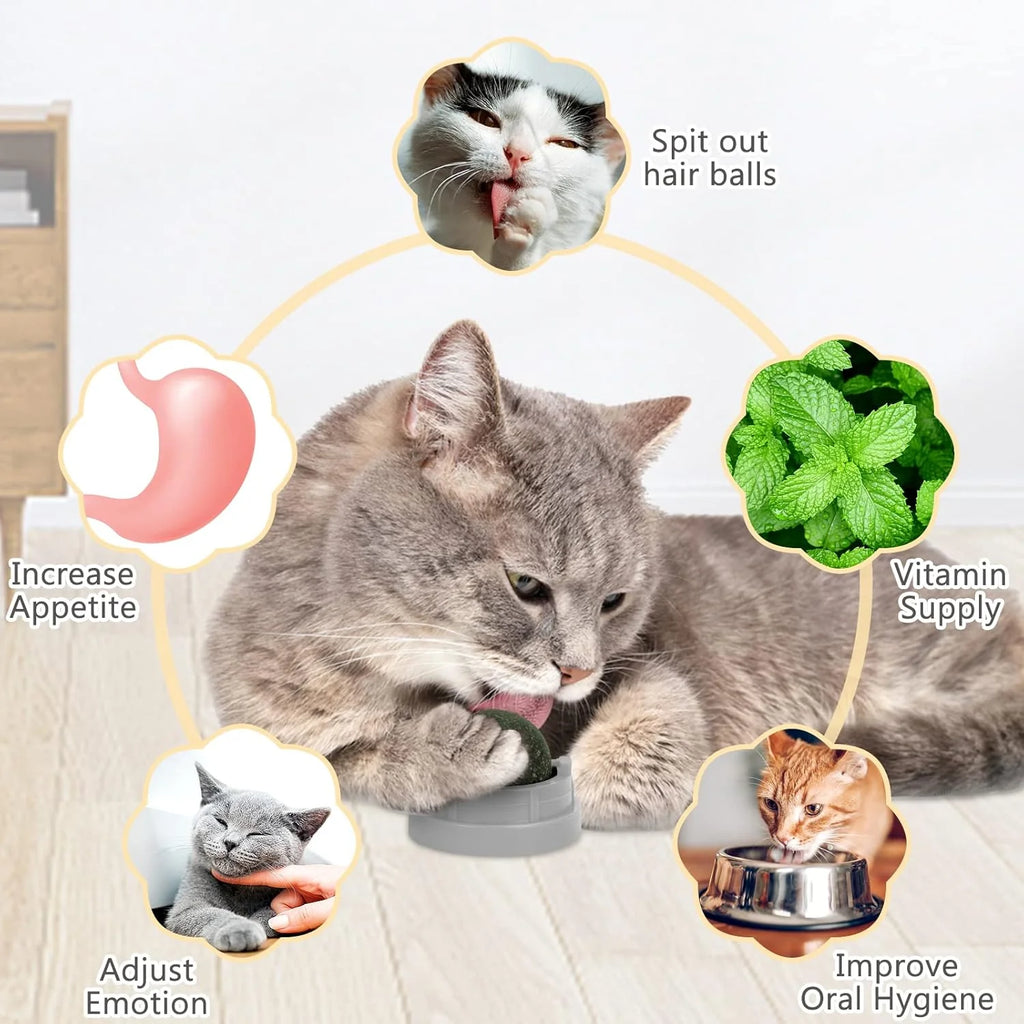Exciting 3 Pack Catnip Balls - Edible Chew Toys for Cats, Safe Dental Treats for Kittens and Adult Cats, Interactive Wall Play!