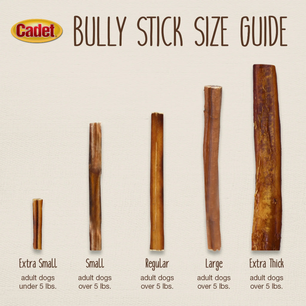 Irresistible Cadet Bully Stick Dog Chews - 5.2 Ounce Pack for Small Dogs