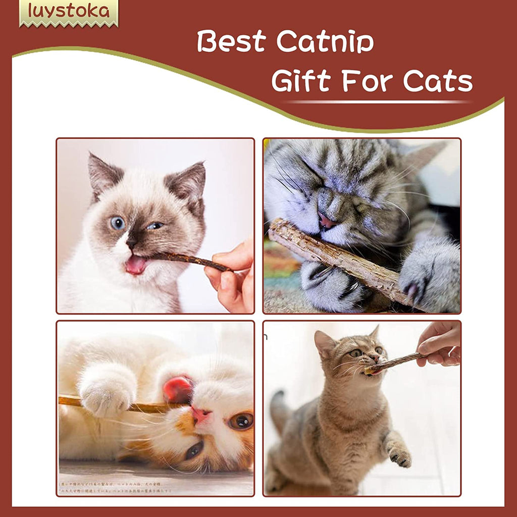 Exciting Silvervine Sticks for Cats - 10PCS of Natural Silvervine & Matatabi Catnip Chew Toys to Keep Your Kitty Active and Engaged