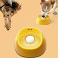 Dog Bowl with Theme Color Background