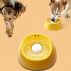 Dog Bowl with Theme Color Background