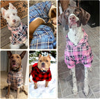 Charming Plaid Dog Hoodie - Cozy British Style Sweater with Leash Hole for All Breeds - Perfect Winter Apparel for Your Furry Friend in Beige, Medium Size
