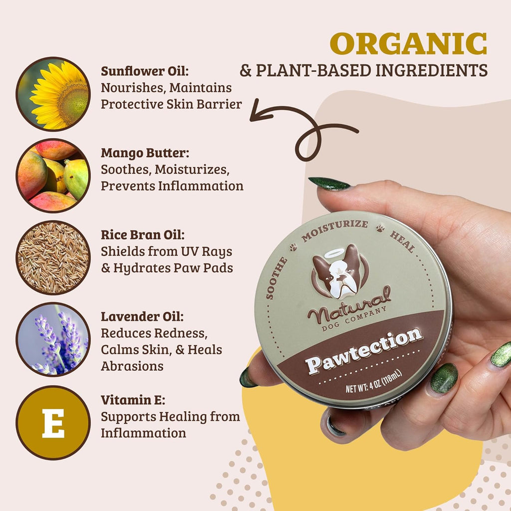 Protect Your Pup's Paws with PawTection Dog Paw Wax – 1 Oz Tin for Summer Adventures on Hot Pavement and Sandy Beaches