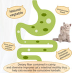 Exciting 3 Pack Catnip Balls - Edible Chew Toys for Cats, Safe Dental Treats for Kittens and Adult Cats, Interactive Wall Play!